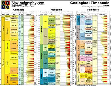 Digital Geological Timescale 2002 Biostratigraphy.com